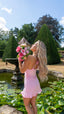 Belle De Rose