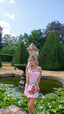 Belle De Rose