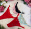 LILIOSA LINGEIRE Mystery 3 Pack Thong - Randomly Picked Black White Pink & Red Thongs for Gifting Girls